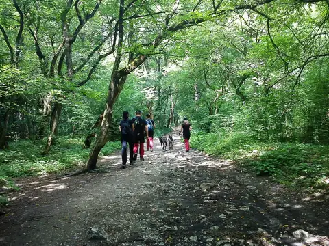 Exercițiu de salvare în Rezervația Naturală Cheile Turzii