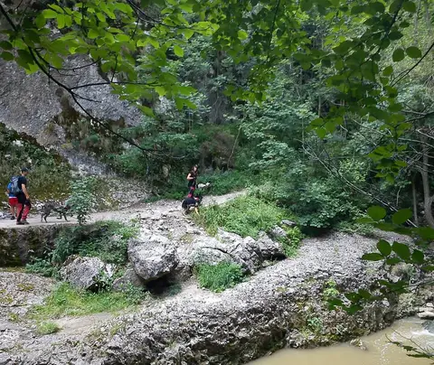 Exercițiu de salvare în Rezervația Naturală Cheile Turzii