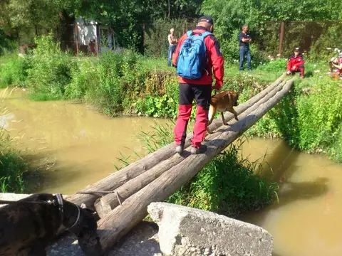 Exercițiu de salvare în Rezervația Naturală Cheile Turzii