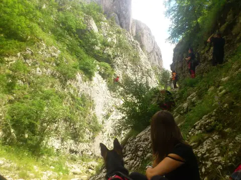 Exercițiu de salvare în Rezervația Naturală Cheile Turzii