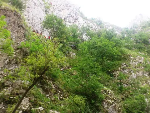 Exercițiu de salvare în Rezervația Naturală Cheile Turzii