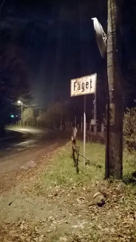 Misiune de căutare Sălicea