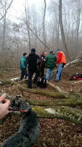 Misiune de căutare Sălicea
