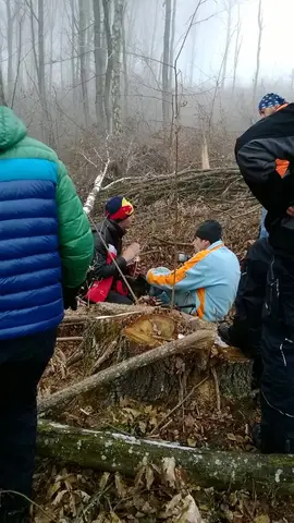 Misiune de căutare Sălicea