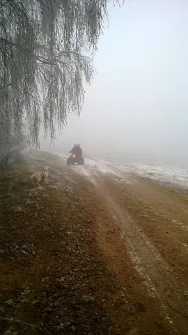 Misiune de căutare Sălicea