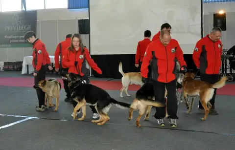CST - Napoca Dog Show