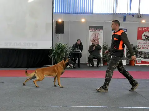 CST - Napoca Dog Show