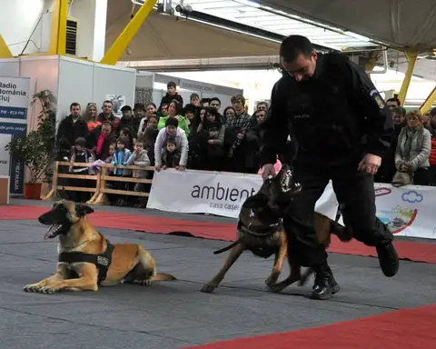 CST - Napoca Dog Show