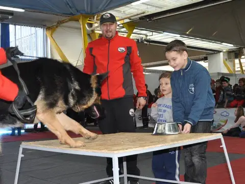 CST - Napoca Dog Show