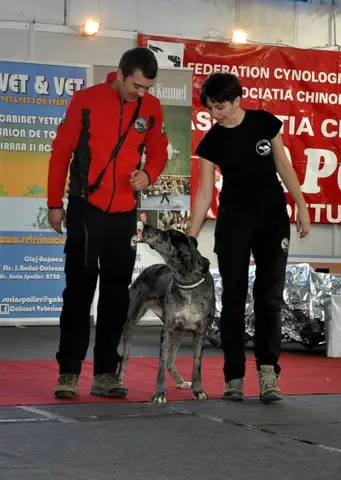 CST - Napoca Dog Show