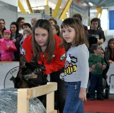 CST - Napoca Dog Show