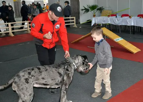 CST - Napoca Dog Show