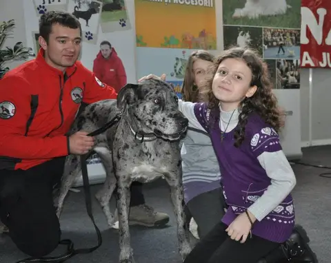 CST - Napoca Dog Show