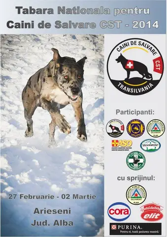 CST National Search and Rescue Dog Camp – 2014