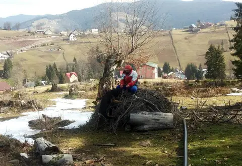 Tabăra națională pentru câini de salvare CST - 2014