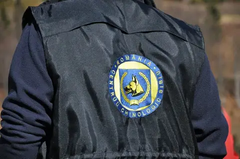 Tabăra națională pentru câini de salvare CST - 2014