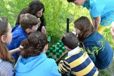 Cora te provoacă să știi mai multe, să fii mai bun! - ediția 2014