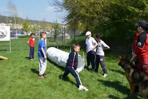 Cora te provoacă să știi mai multe, să fii mai bun! - ediția 2014