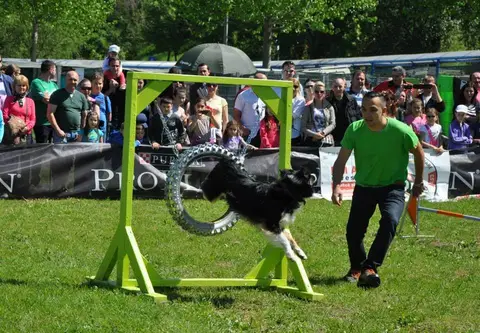 HiperParada Animalelor la Cora - ediția a VI-a