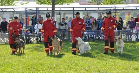 HiperParada Animalelor la Cora - ediția a VI-a