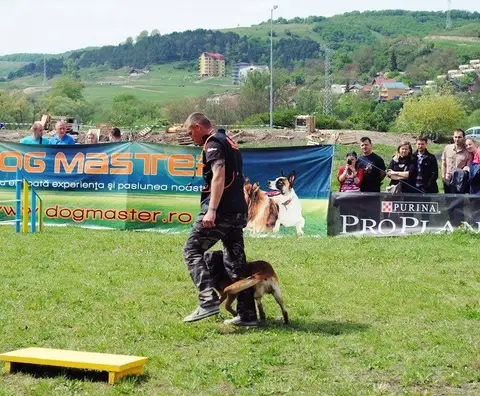 HiperParada Animalelor la Cora - ediția a VI-a