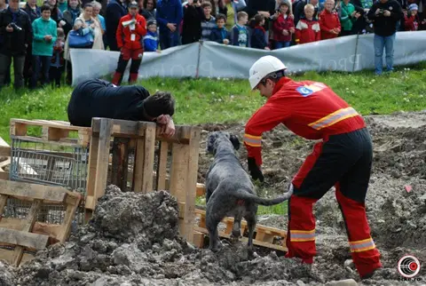 HiperParada Animalelor la Cora - ediția a VI-a
