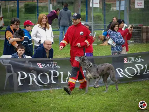 HiperParada Animalelor la Cora - ediția a VI-a