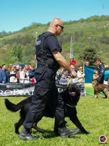 HiperParada Animalelor la Cora - ediția a VI-a