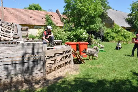 Tabăra internațională pentru câini de salvare, Austria, 2014