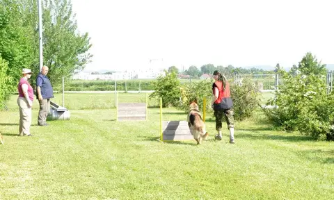 Tabăra internațională pentru câini de salvare, Austria, 2014
