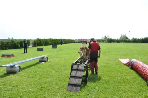 Tabăra internațională pentru câini de salvare, Austria, 2014