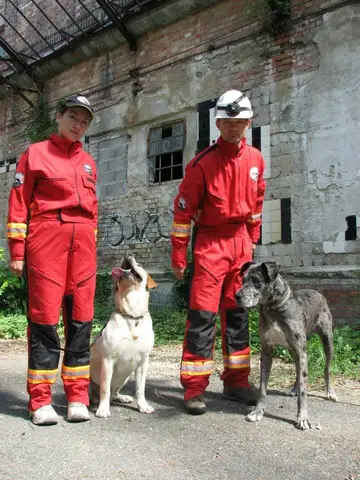 Tabăra internațională pentru câini de salvare, Austria, 2014