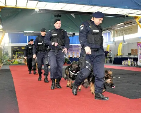 Napoca Dog Show 2015