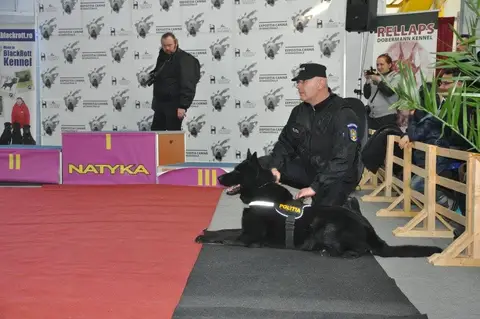 Napoca Dog Show 2015