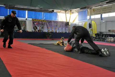 Napoca Dog Show 2015