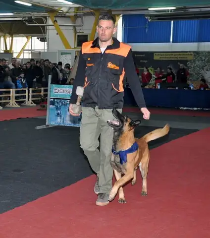 Napoca Dog Show 2015
