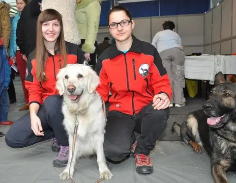 Napoca Dog Show 2015