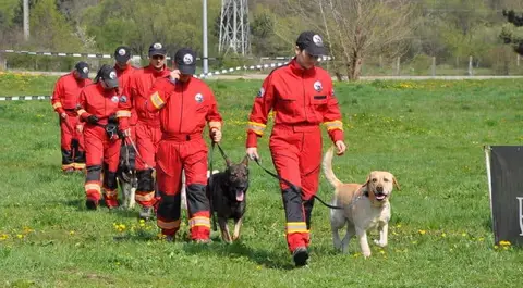 HiperParada Animalelor la Cora - ediția a VII-a