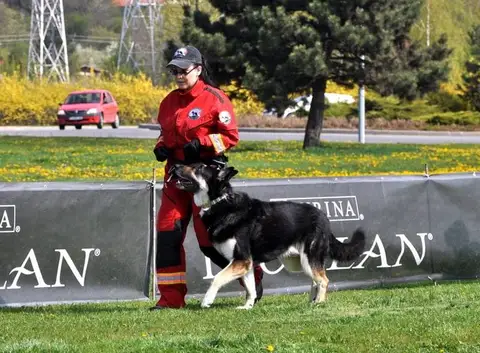HiperParada Animalelor la Cora - ediția a VII-a
