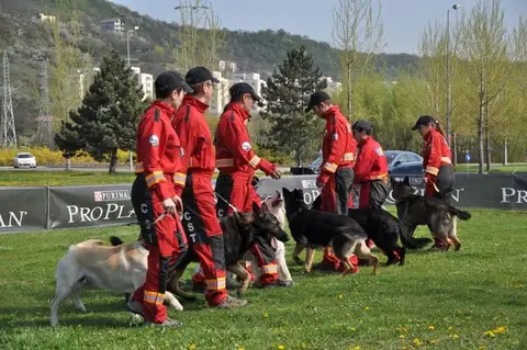 HiperParada Animalelor la Cora - ediția a VII-a