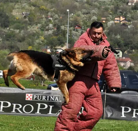 HiperParada Animalelor la Cora - ediția a VII-a