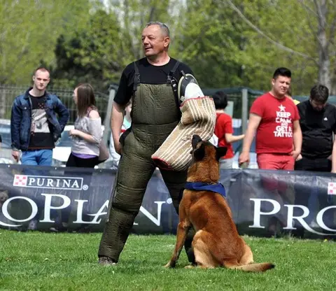HiperParada Animalelor la Cora - ediția a VII-a
