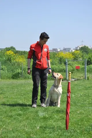 CST International Search and Rescue Dog Camp – 2015