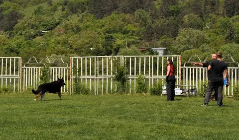 CST International Search and Rescue Dog Camp – 2015