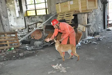 CST International Search and Rescue Dog Camp – 2015