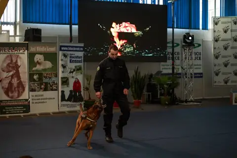 Napoca Dog Show 2016