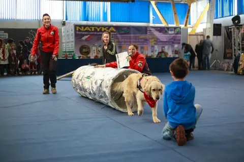 Napoca Dog Show 2016