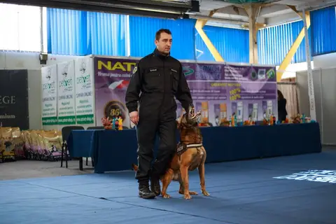 Napoca Dog Show 2016