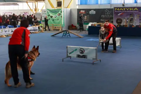 Napoca Dog Show 2016