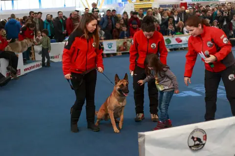 Napoca Dog Show 2016
